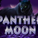 Panther Moon